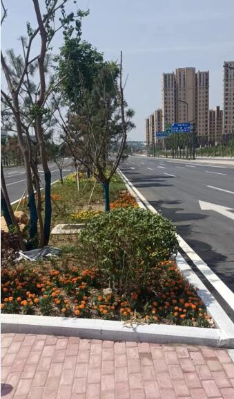 LS2路(胜利东路-东海大道)项目简介